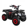 MYTS Cyclone 36v Ele...