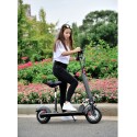 Electric Bike foldable flash ten scooter 800 watts