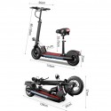 Electric Bike foldable flash ten scooter 800 watts