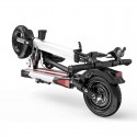 Electric Bike foldable flash ten scooter 800 watts