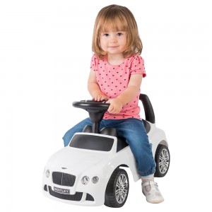 MYTS Ride Ons Licens...