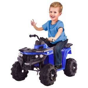 Mini 6v Quad Bike Fo...