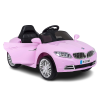 MYTS Electric Ride o...