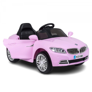 MYTS Electric Ride o...
