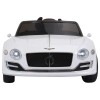 Licensed Bentley Rid...