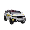 MYTS Police car  Jee...
