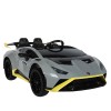 MYTS Licensed 12V  L...