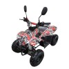 Myts 110cc  ATV Off ...