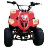 Myts 80cc ATV Quad P...