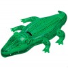 Intex Lil Gator Ride...