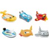 Intex Pool Cruisers...