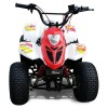 Kids Pro 80cc Fully ...