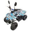 Off Road 110cc Quad ...