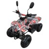 Off Road 110cc Quad ...