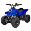 Off Road 90cc Quad B...