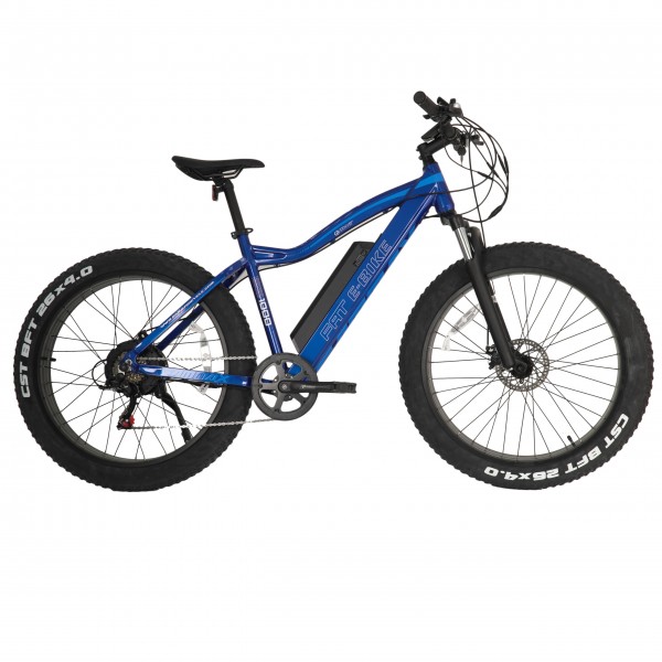 GammaX E Mountain Fat Bike 26 Inch
