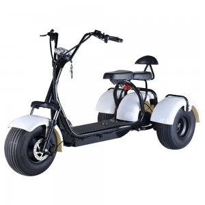 MYTS Coco Harley 3 W...