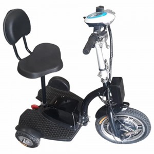 MYTS 36V Electric Fo...