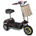 MYTS Mobility Champ Electric Scooter - Black