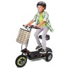 MYTS Mobility Champ ...