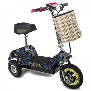 MYTS Mobility Champ ...