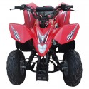 Myts ATV Quad bike 200 CC Power fully automatic Red
