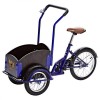 Cargo Tricycle with ...