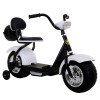 Coco Harley Motorcyc...