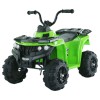 Mini 6v Quad Bike Fo...