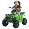 Mini 6v Quad Bike For Young Off Roaders Green