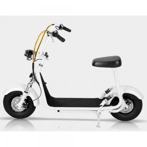 Mini Coco 36V Foldab...