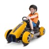 Myts Electric Ride o...