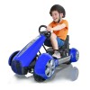Myts Electric Ride o...